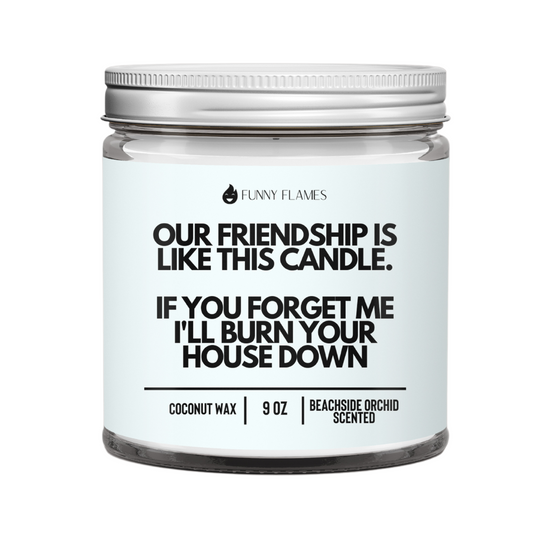 Our Friendship Is Like This Candle if you forget about me i'll burn your house down
